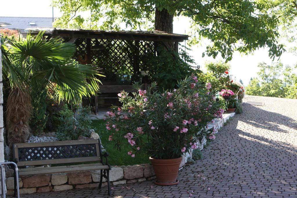 Cortalta Mountain Lodge Fai della Paganella Eksteriør billede