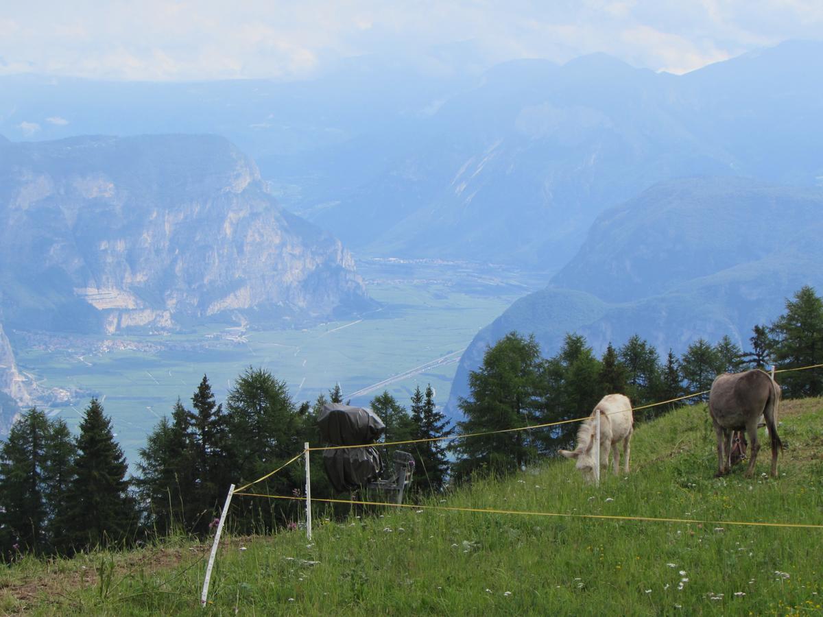 Cortalta Mountain Lodge Fai della Paganella Eksteriør billede