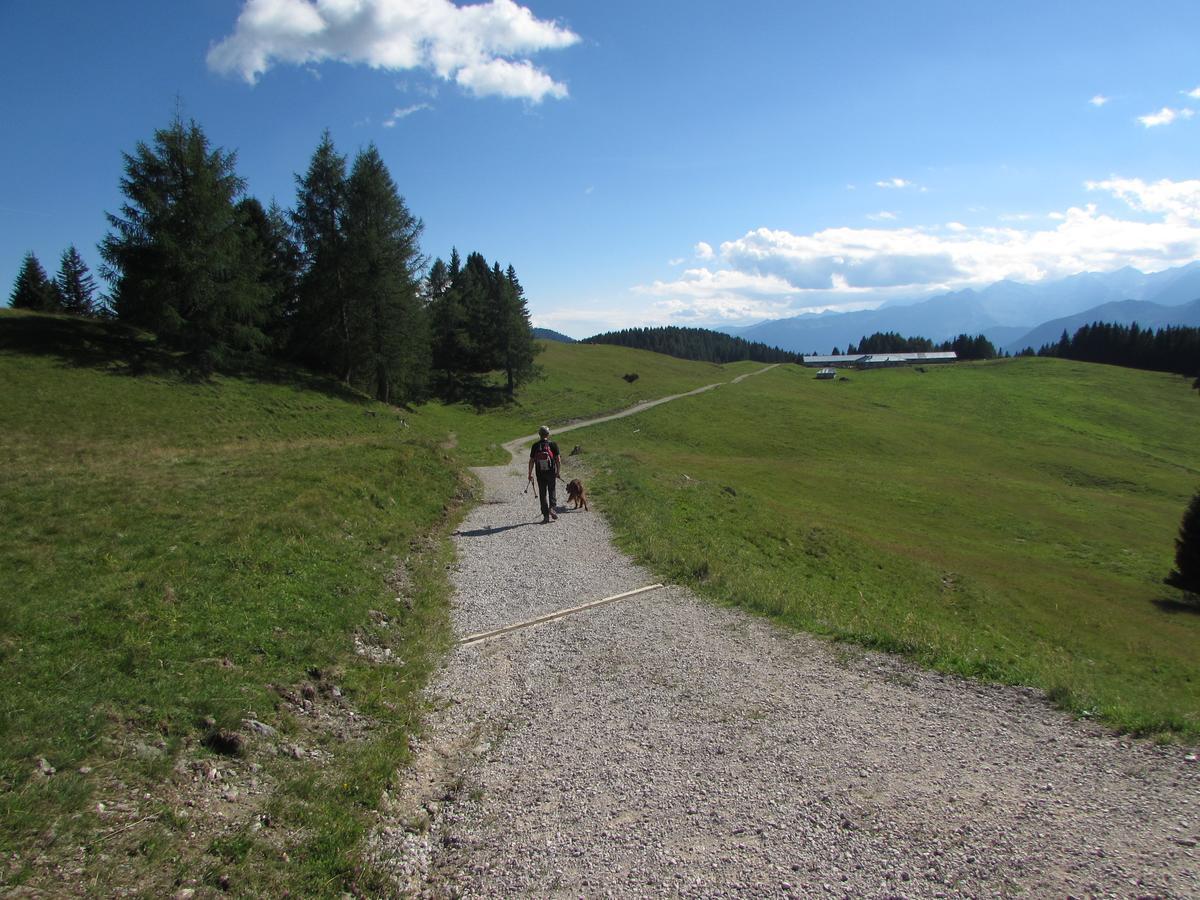 Cortalta Mountain Lodge Fai della Paganella Eksteriør billede