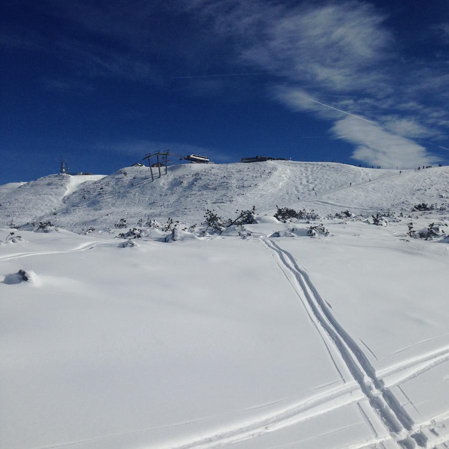 Cortalta Mountain Lodge Fai della Paganella Eksteriør billede